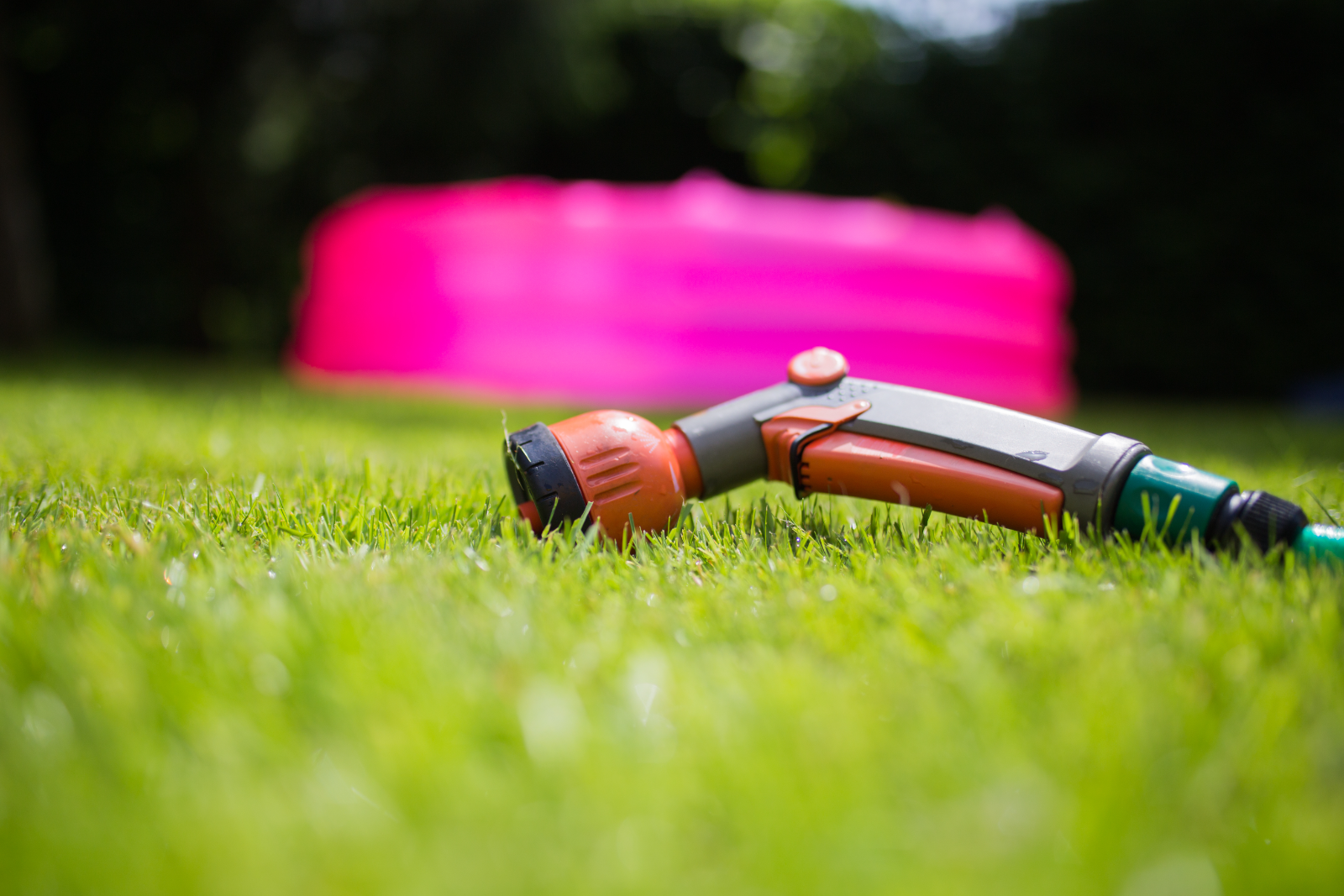 HOA streetscape turf conversion in Las Vegas